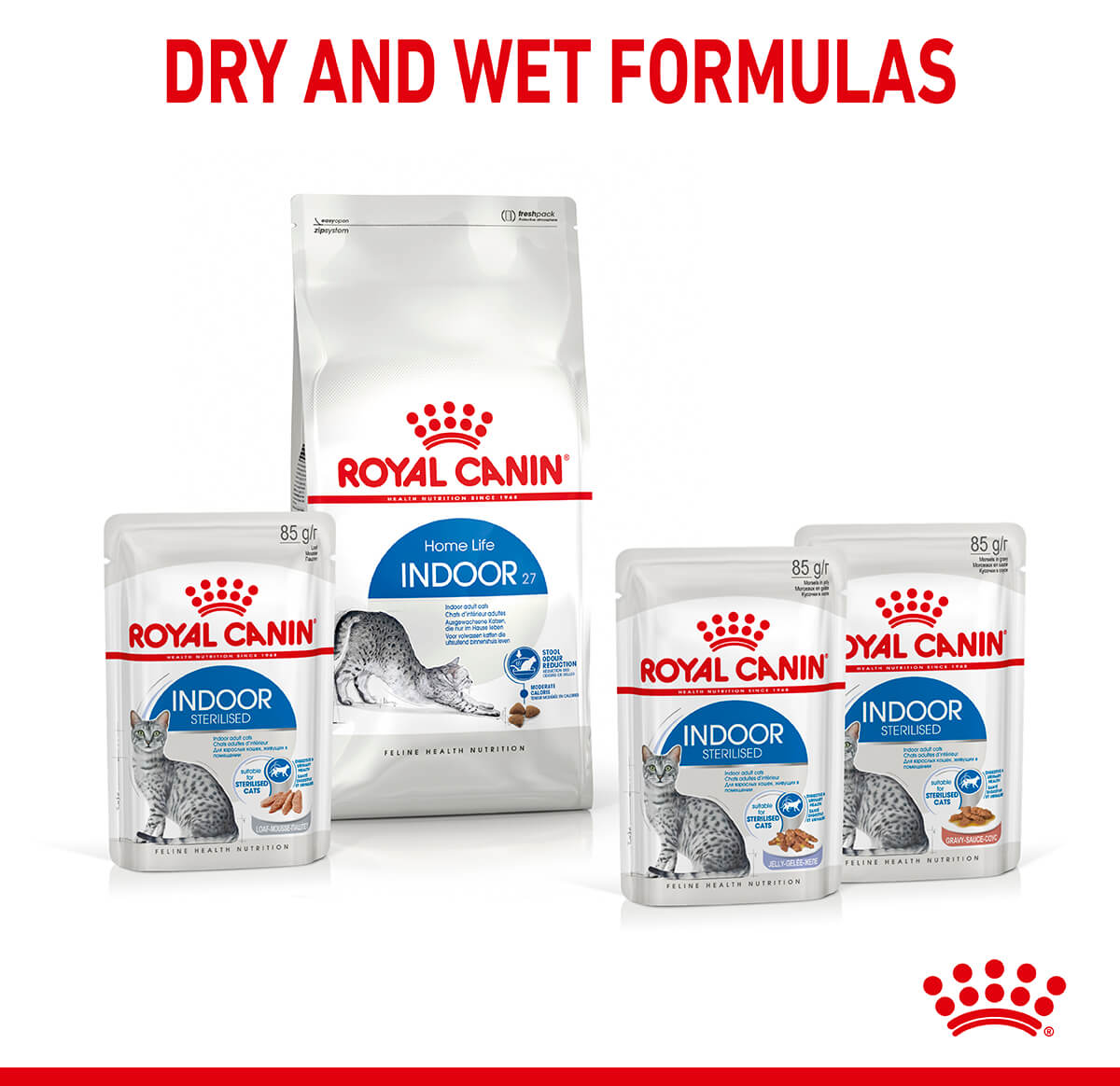 Royal Canin Indoor Jelly Wet Cat Food