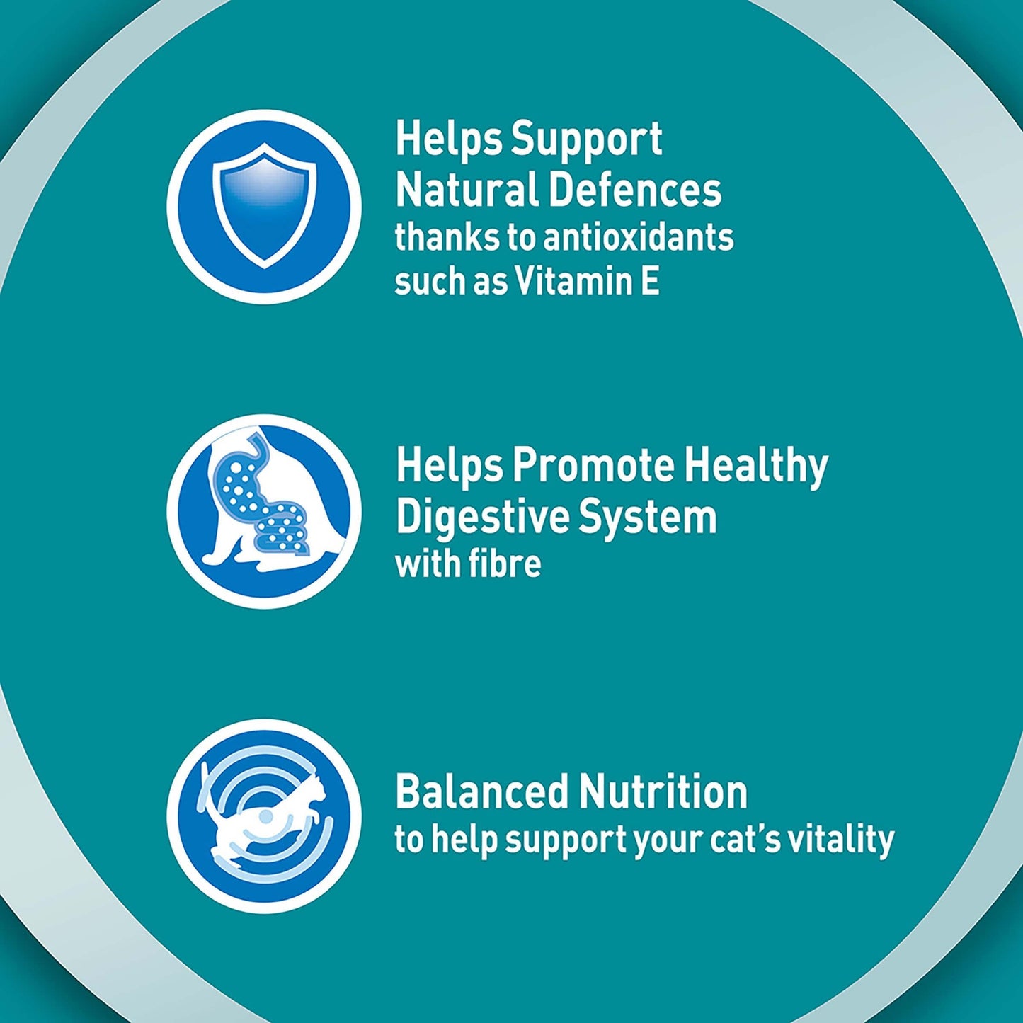 Purina One Adult Ocean Fish Wet Cat Food