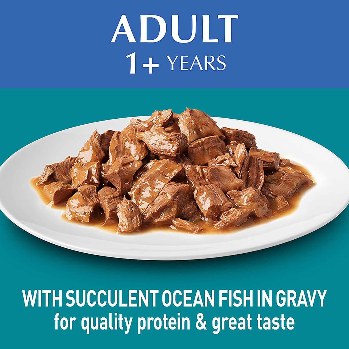 Purina One Adult Ocean Fish Wet Cat Food