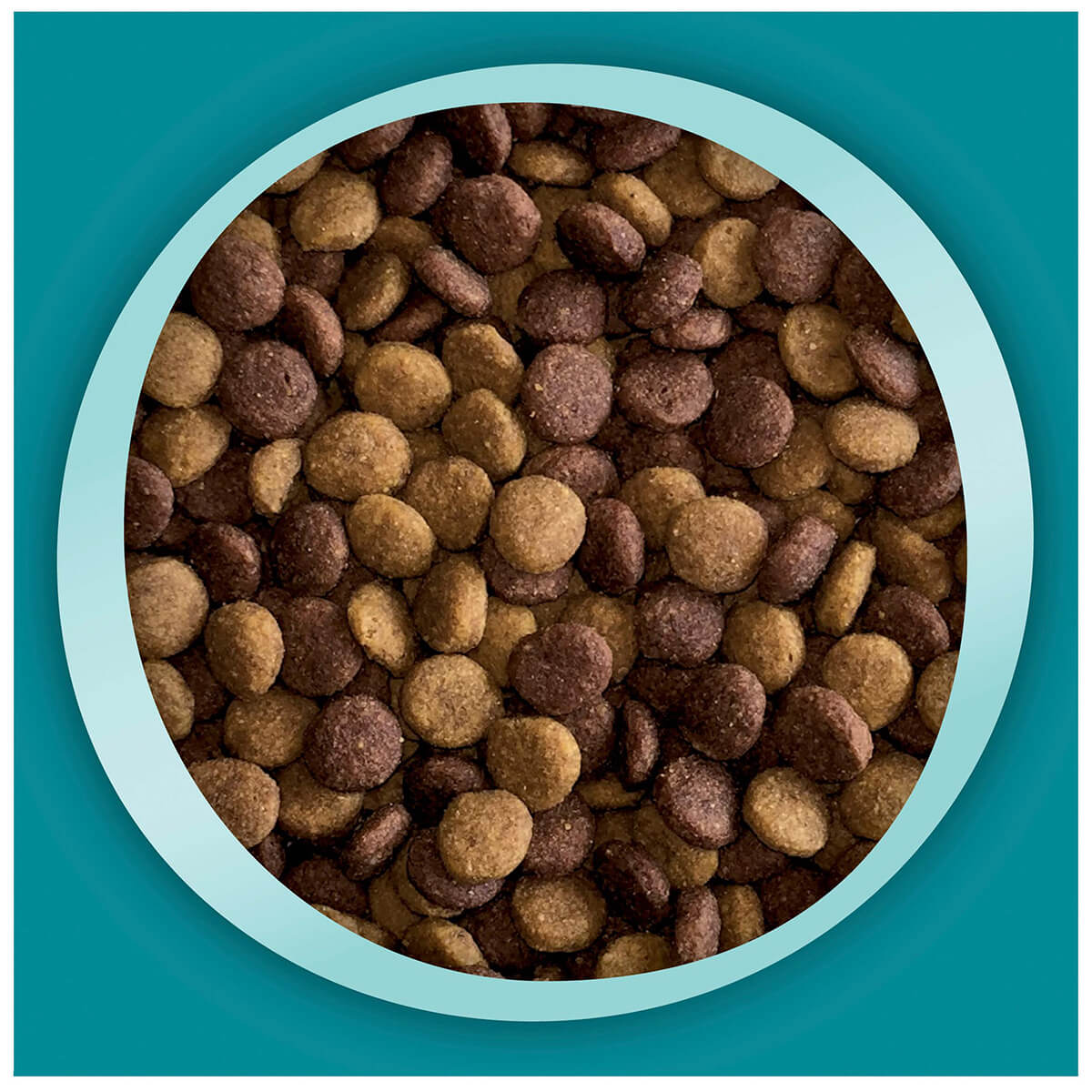 Purina One Kitten Chicken Dry Cat Food