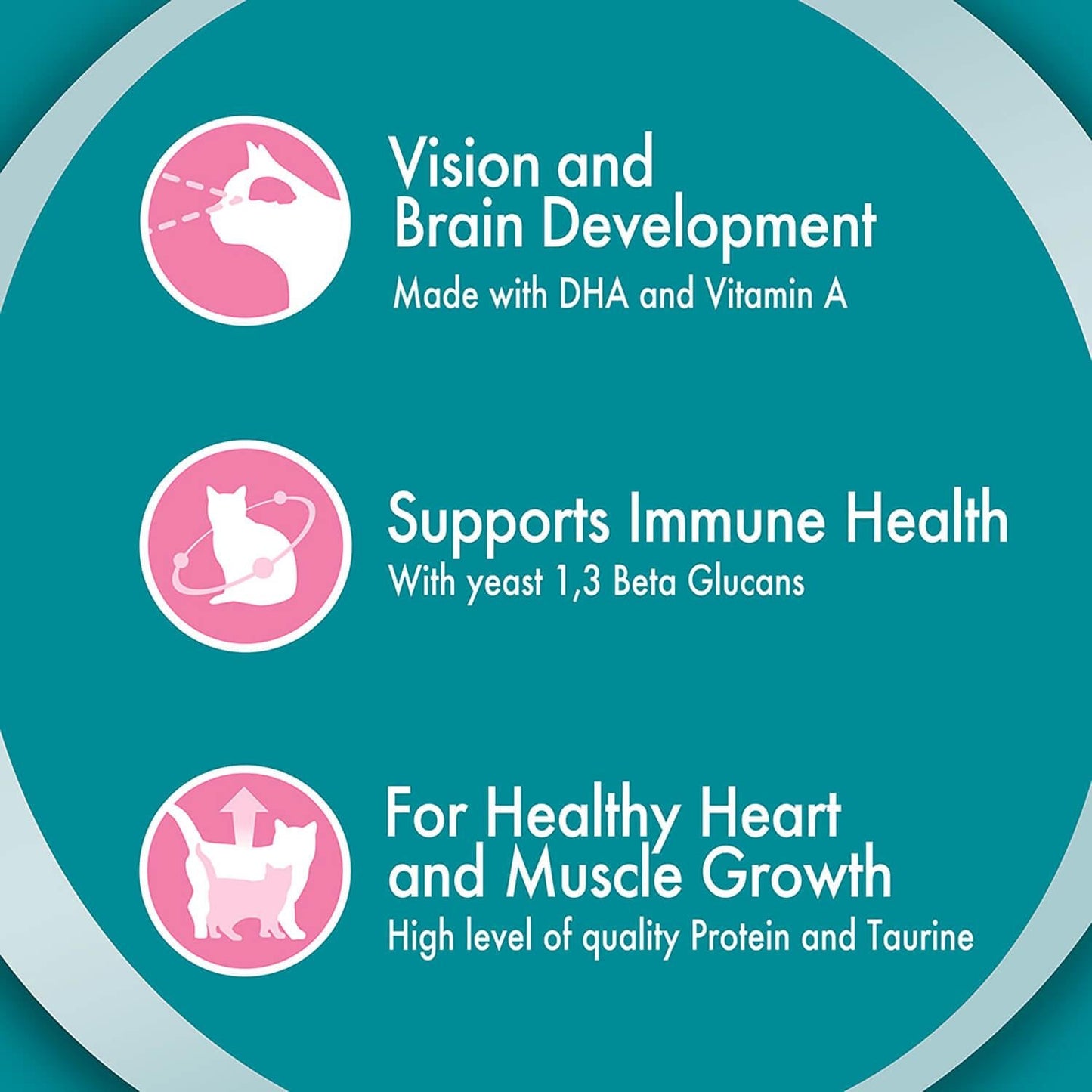 Purina One Kitten Chicken Dry Cat Food