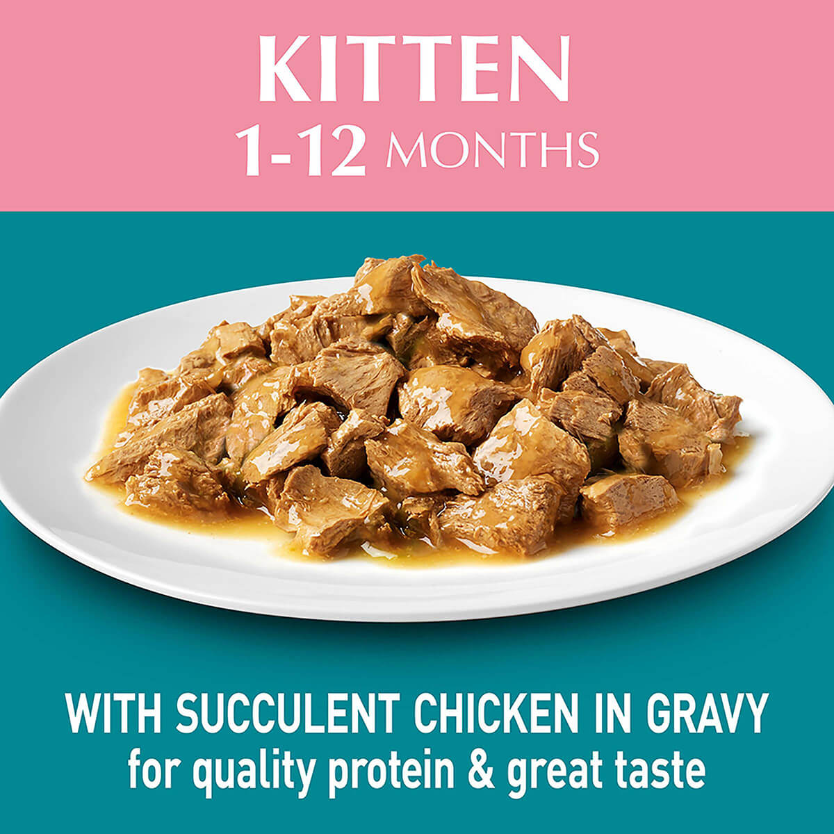 Purina One Kitten Chicken Wet Cat Food 70g