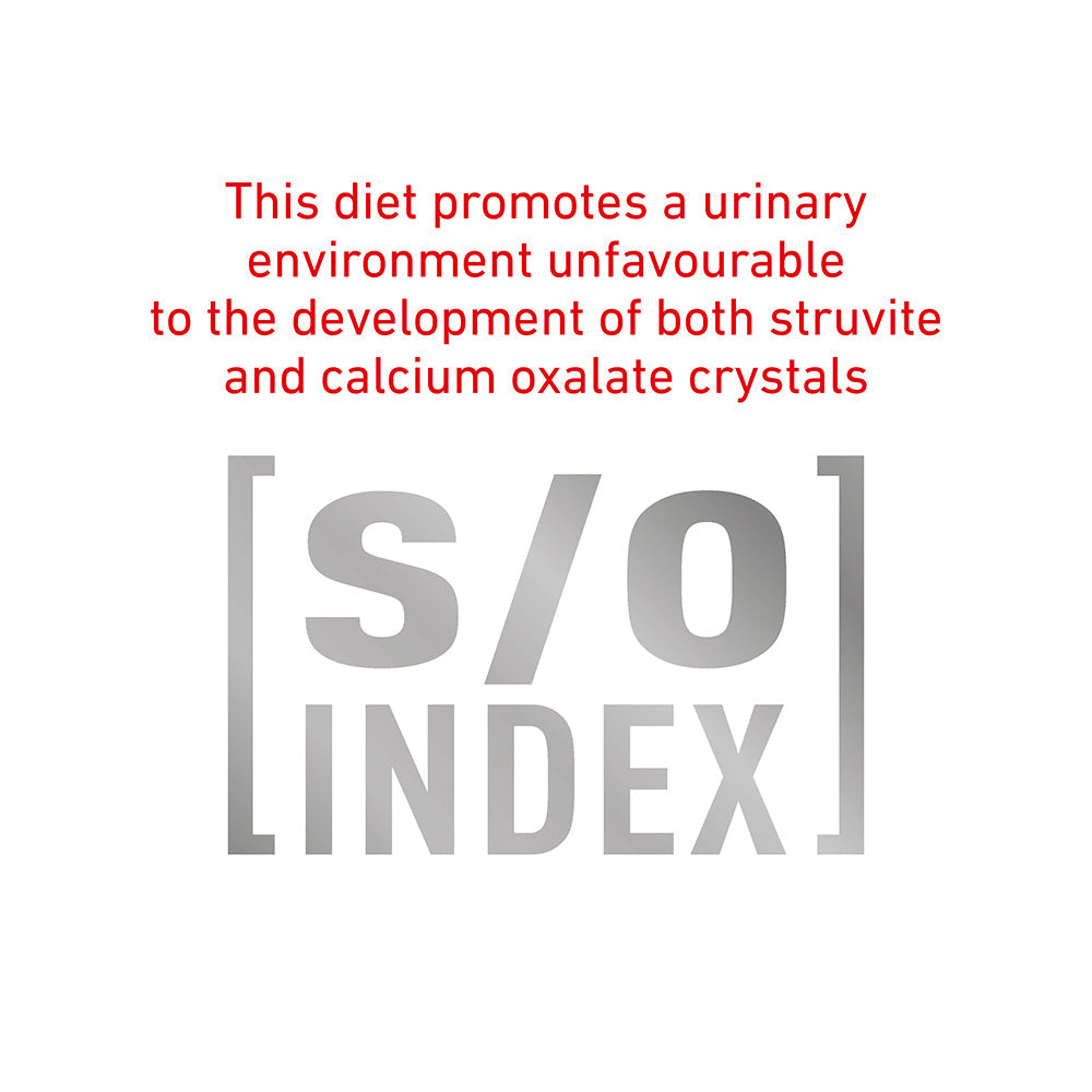 Royal Canin Veterinary Diabetic Adult Wet Dog Food