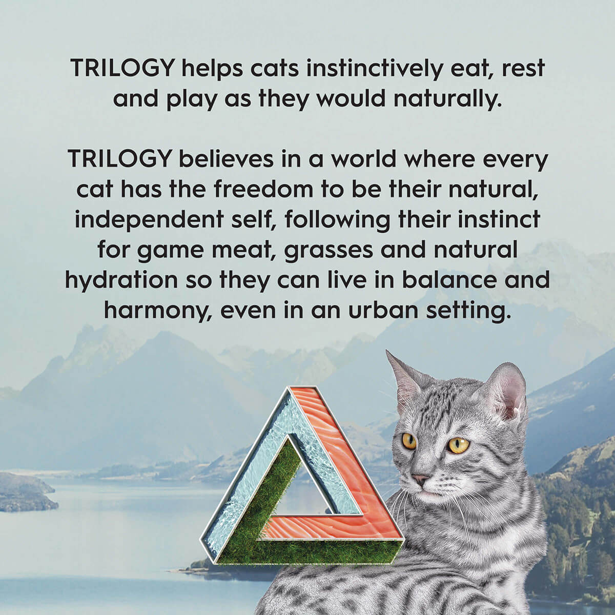 Trilogy Adult Salmon Dry Cat Food 1.8kg