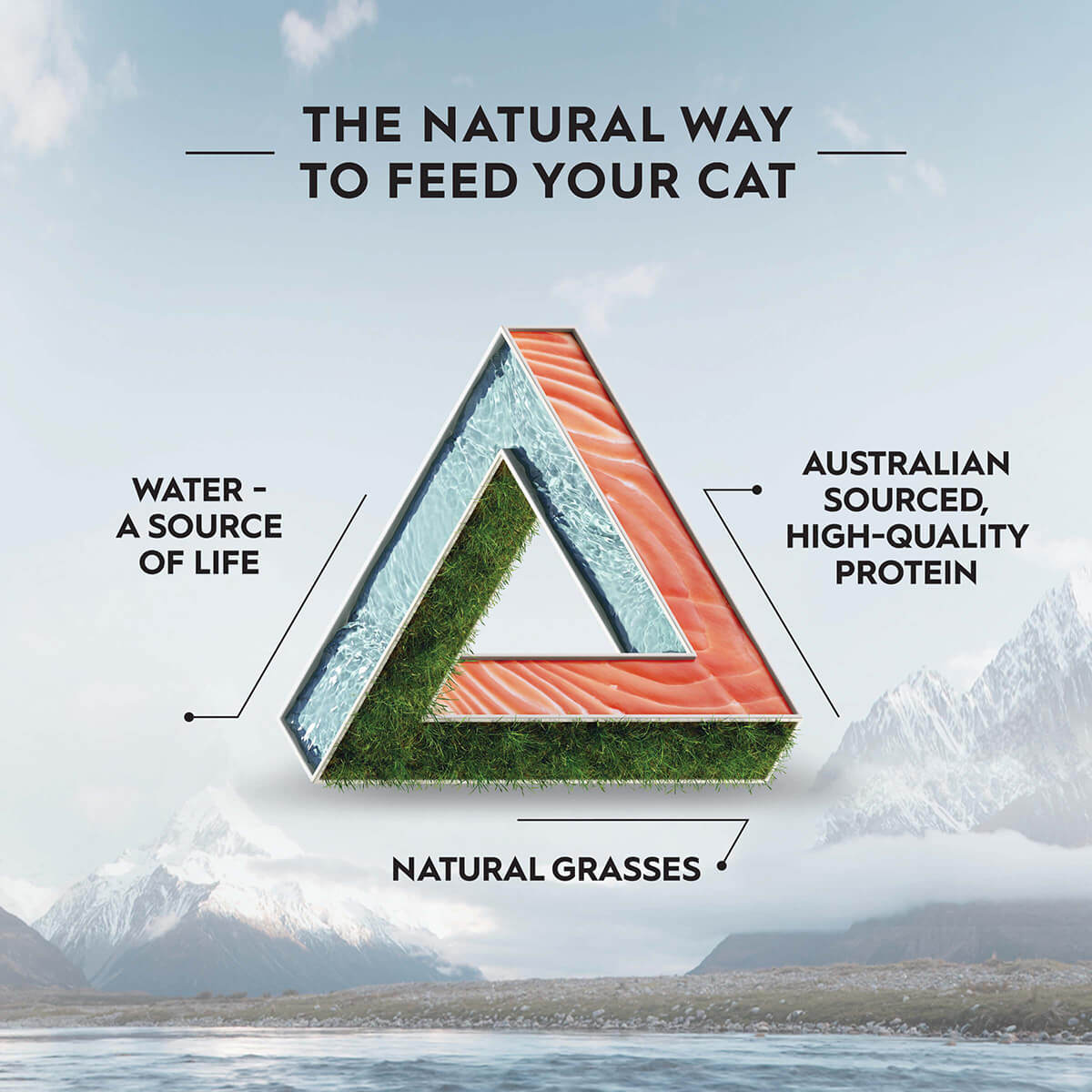 Trilogy Adult Salmon Dry Cat Food 1.8kg