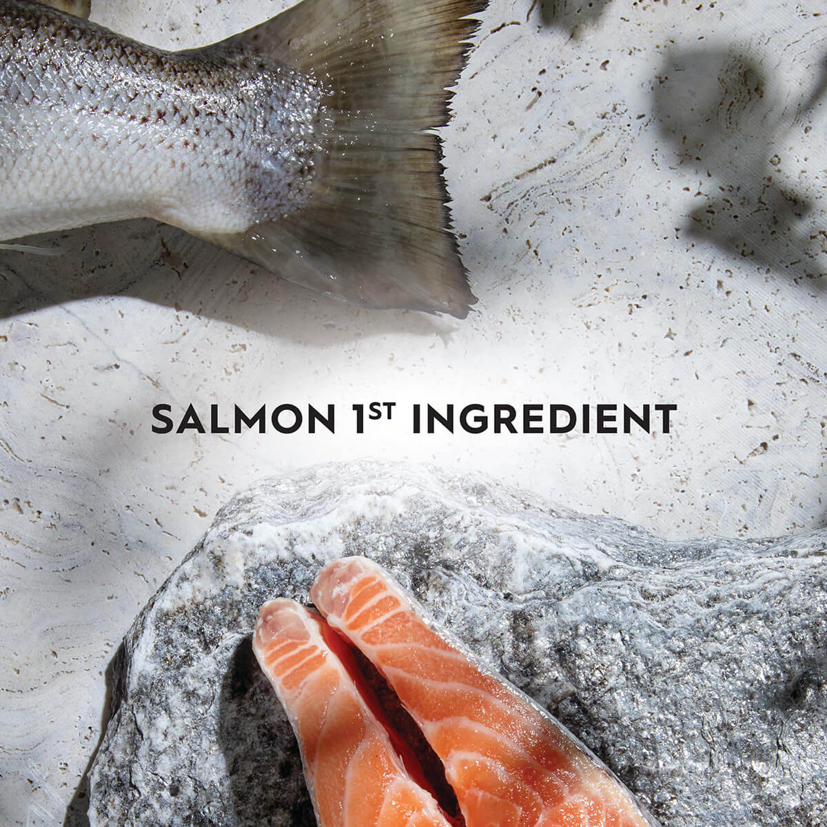 Trilogy Adult Salmon Dry Cat Food 1.8kg
