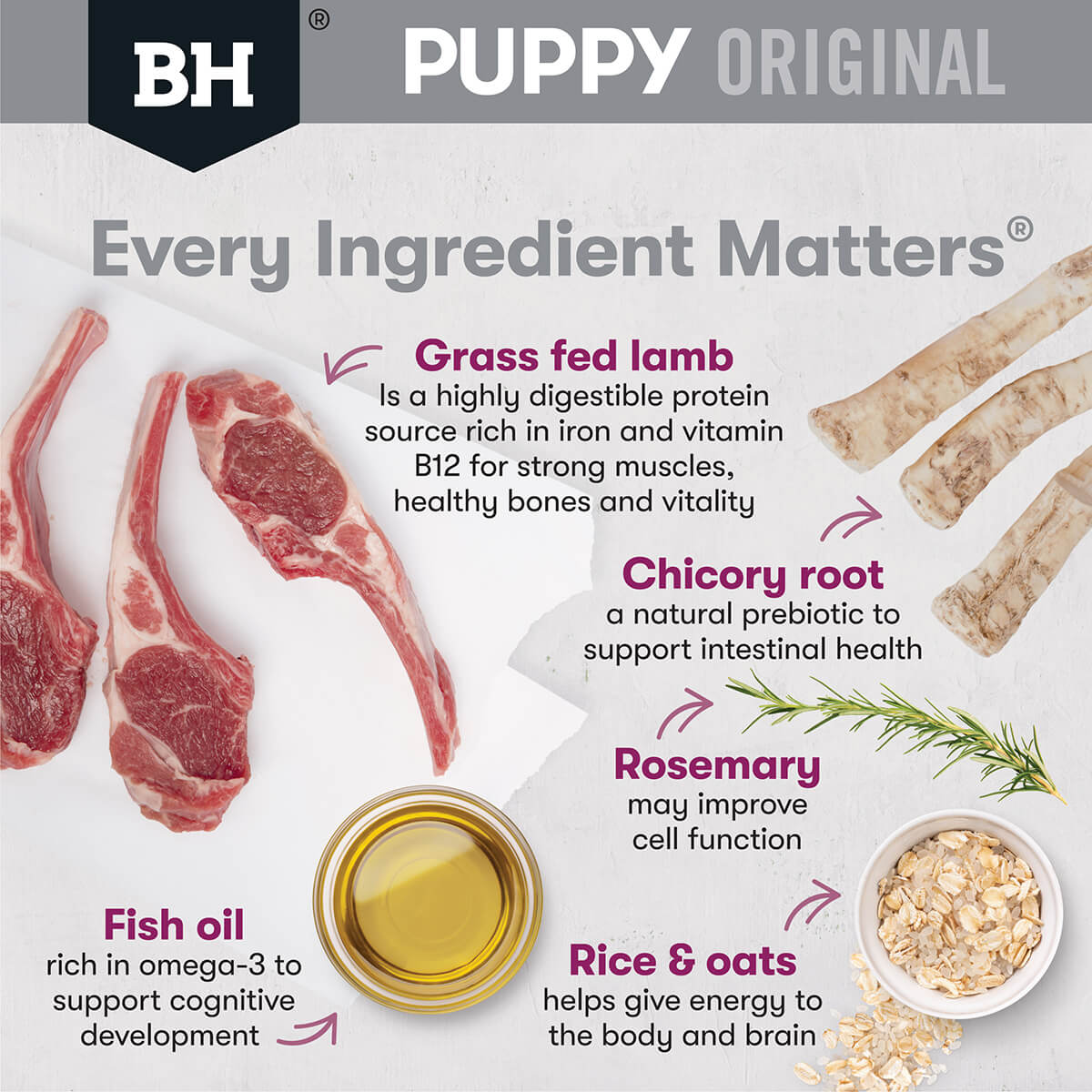 Black Hawk Puppy Lamb & Rice Small Breed Dry Dog Food (100000059928) [default_color]
