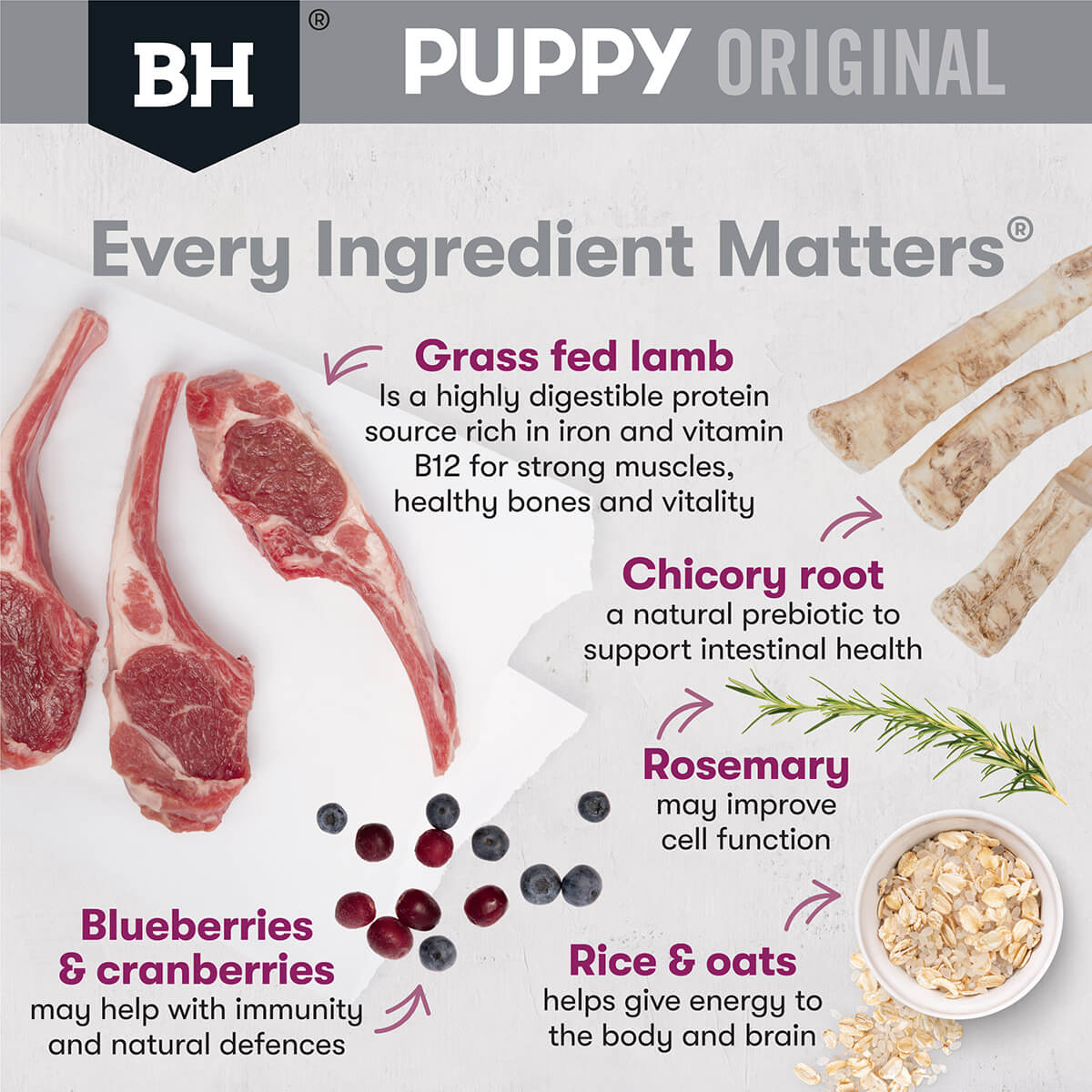 Black Hawk Puppy Lamb & Rice Medium Breed Dry Dog Food (100000059930) [default_color]