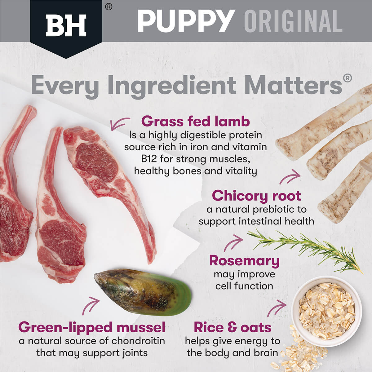 Black Hawk Puppy Lamb & Rice Large Breed Dry Dog Food (100000059933) [default_color]