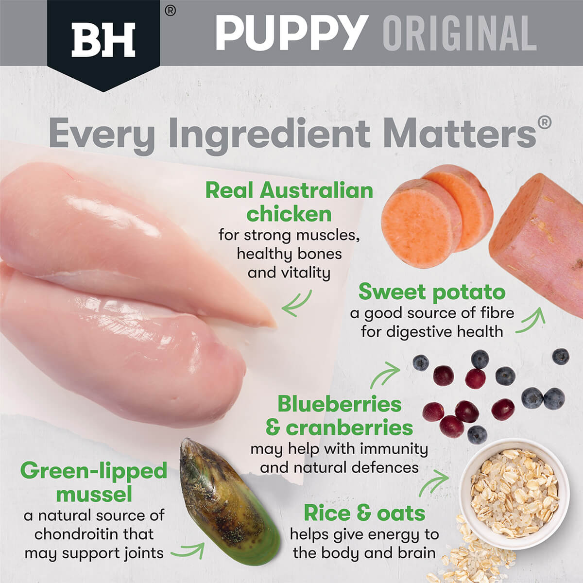 Black Hawk Puppy Chicken & Rice Large Breed Dry Dog Food (100000059940) [default_color]