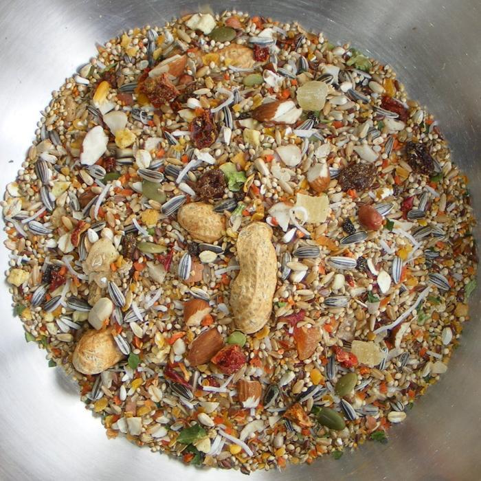Conure Blend