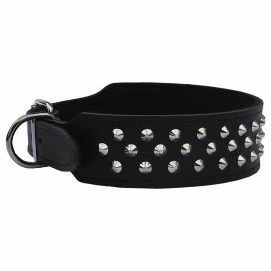 Dog Collar Staffy/Bull Terrier Leather with Studs 43mm