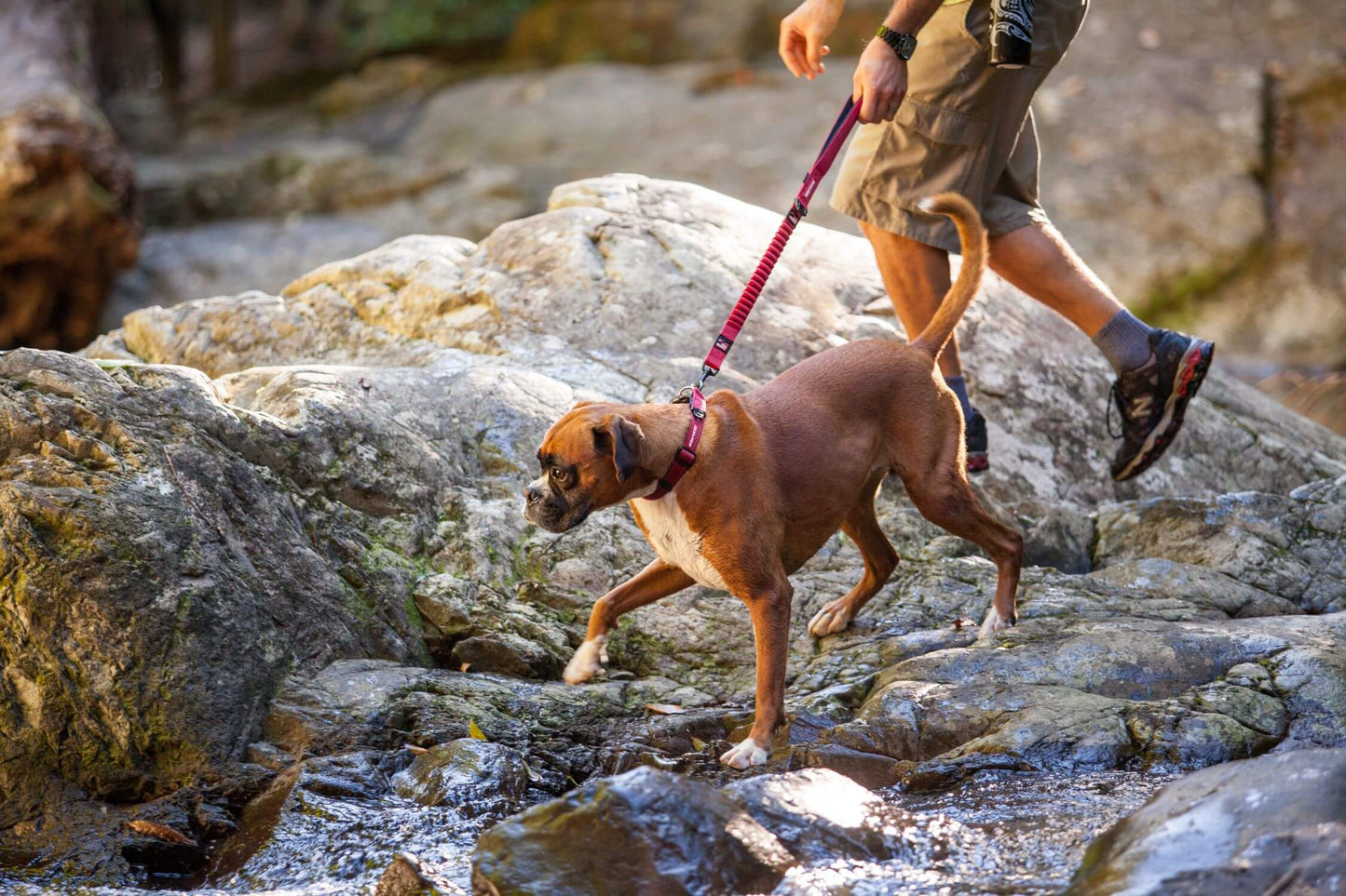 EzyDog Zero Shock Dog Lead