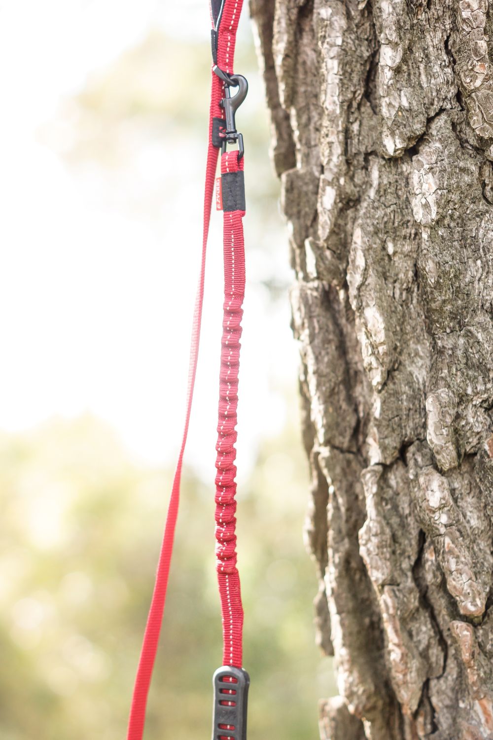 EzyDog Zero Shock Lite Leash