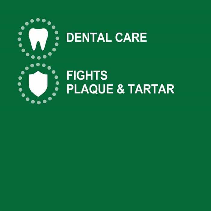 Greenies - Large - Dental Chews for Large Dogs