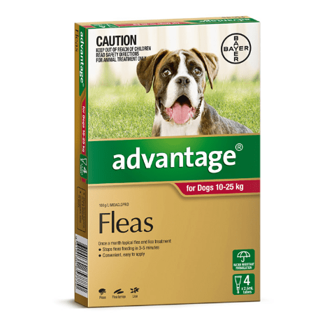 Advantage Flea Treatment 10-25kg Dog