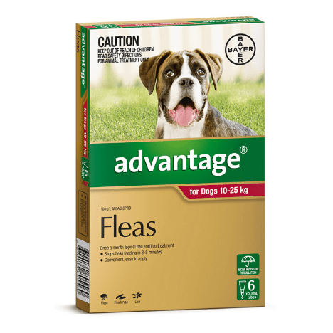 Advantage Flea Treatment 10-25kg Dog