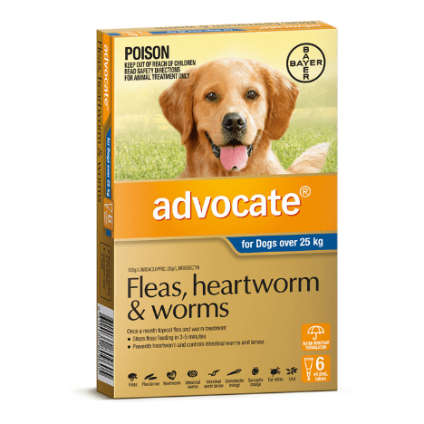 Advocate Flea & Worming Treatment 25kg+ Dog