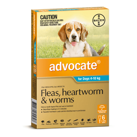 Advocate Flea & Worming Treatment 4-10kg Dog