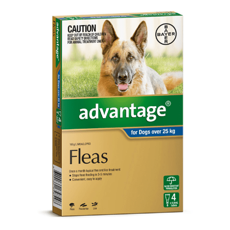 Advantage Flea Treatment 25kg+ Dog