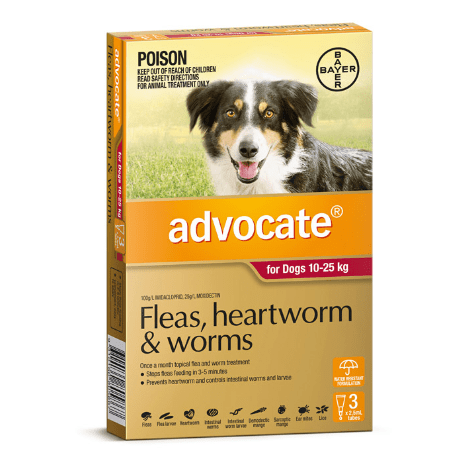 Advocate Flea & Worming Treatment 10-25kg Dog