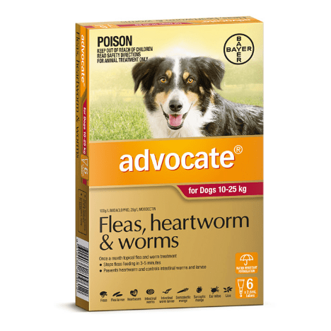 Advocate Flea & Worming Treatment 10-25kg Dog