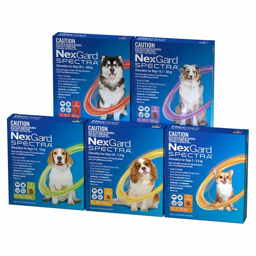 NexGard Spectra chews for dogs  30.1-60kg