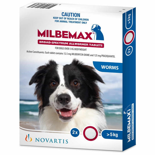 Milbemax Allwormer >5kg Dog