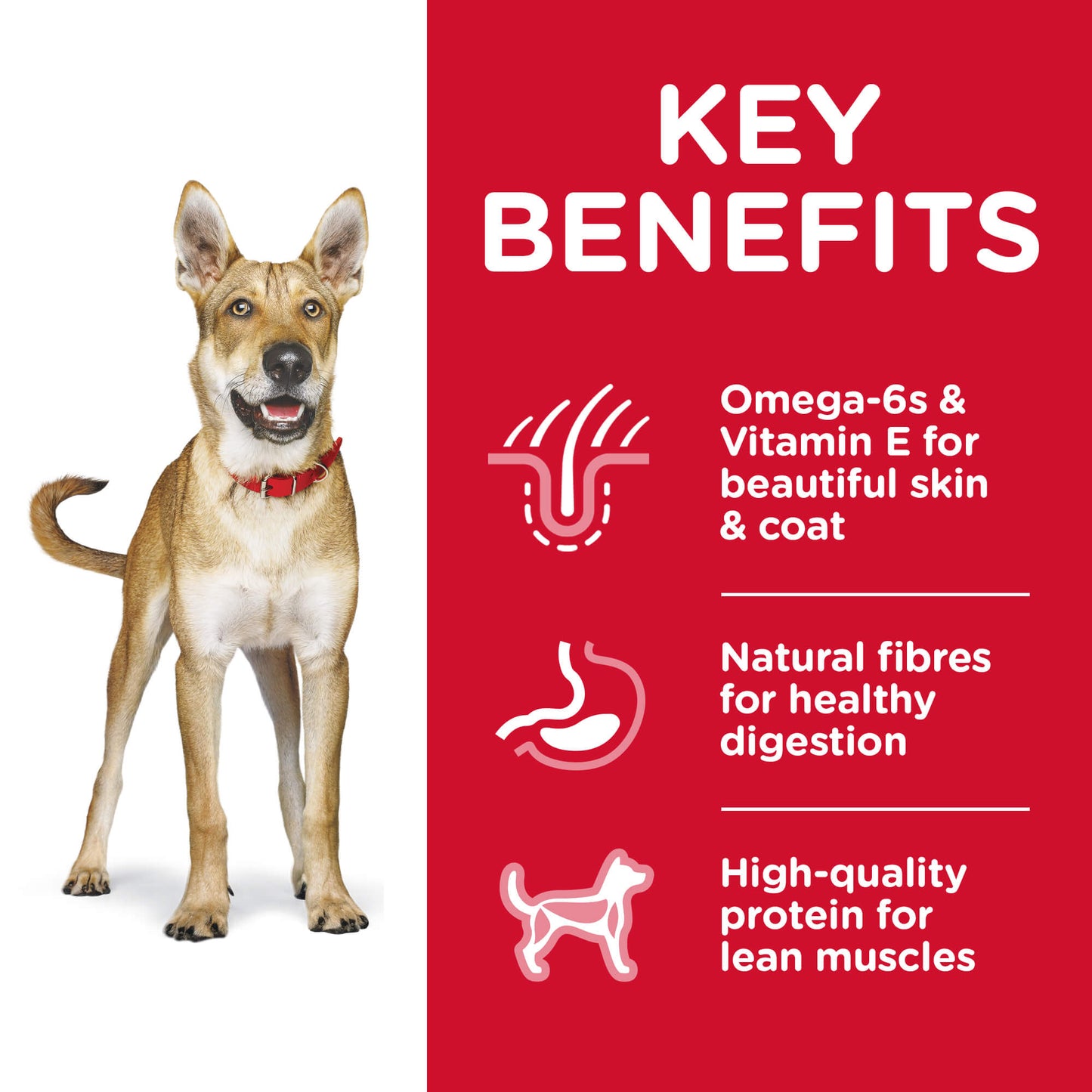 Hill's Science Diet Adult Chicken Dry Dog Food (122718000029) [default_color]