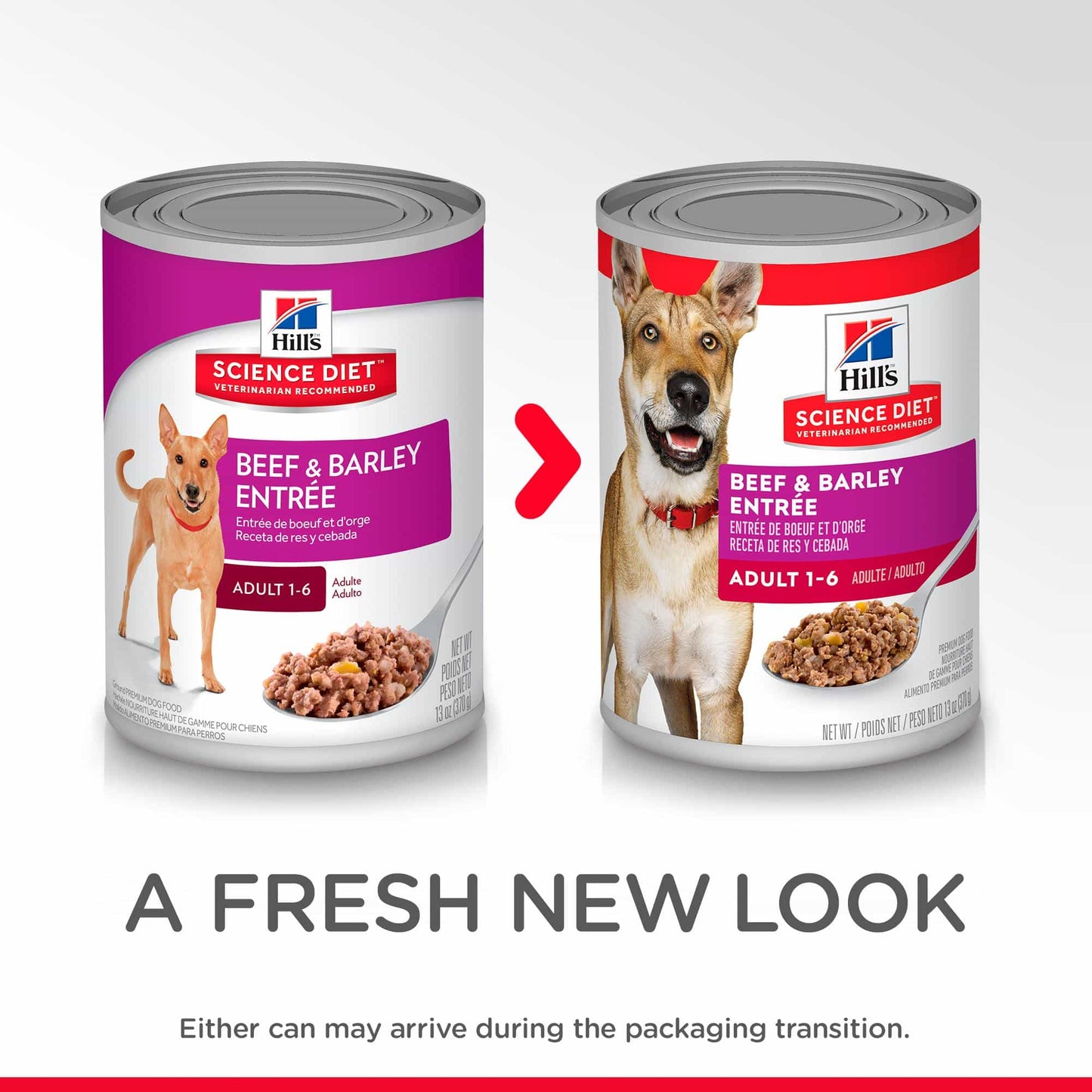 Hill's Science Diet Adult Beef & Barley Wet Dog Food