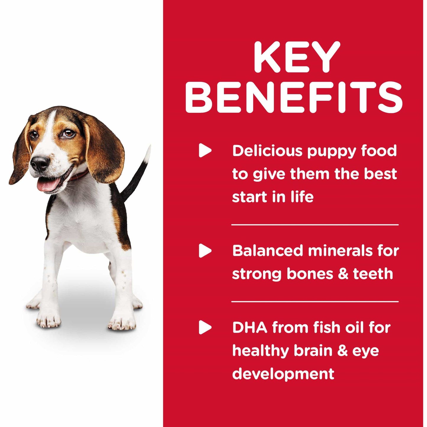 Hill's Science Diet Puppy Chicken Wet Dog Food