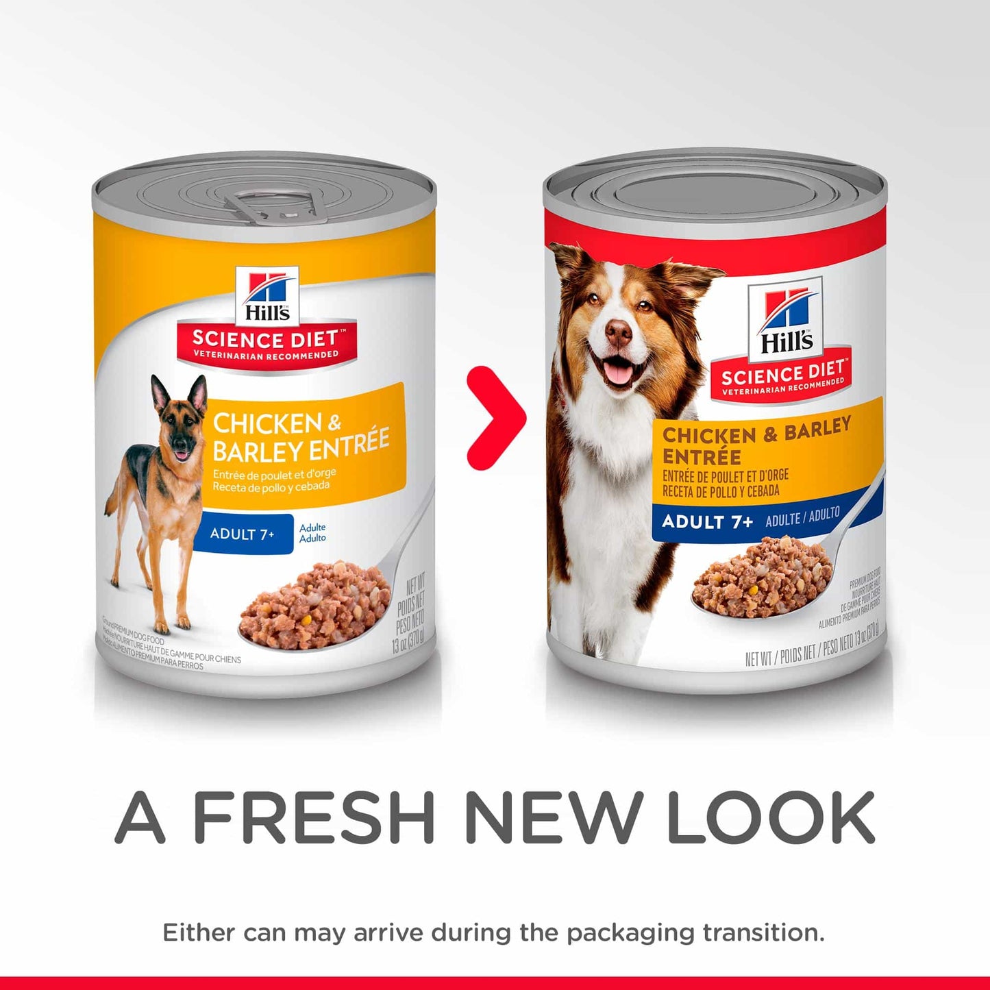 Hill's Science Diet Senior Chicken & Barley Wet Dog Food