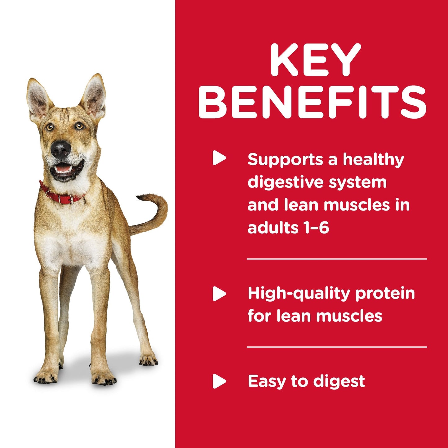 Hill's Science Diet Adult Beef Wet Dog Food