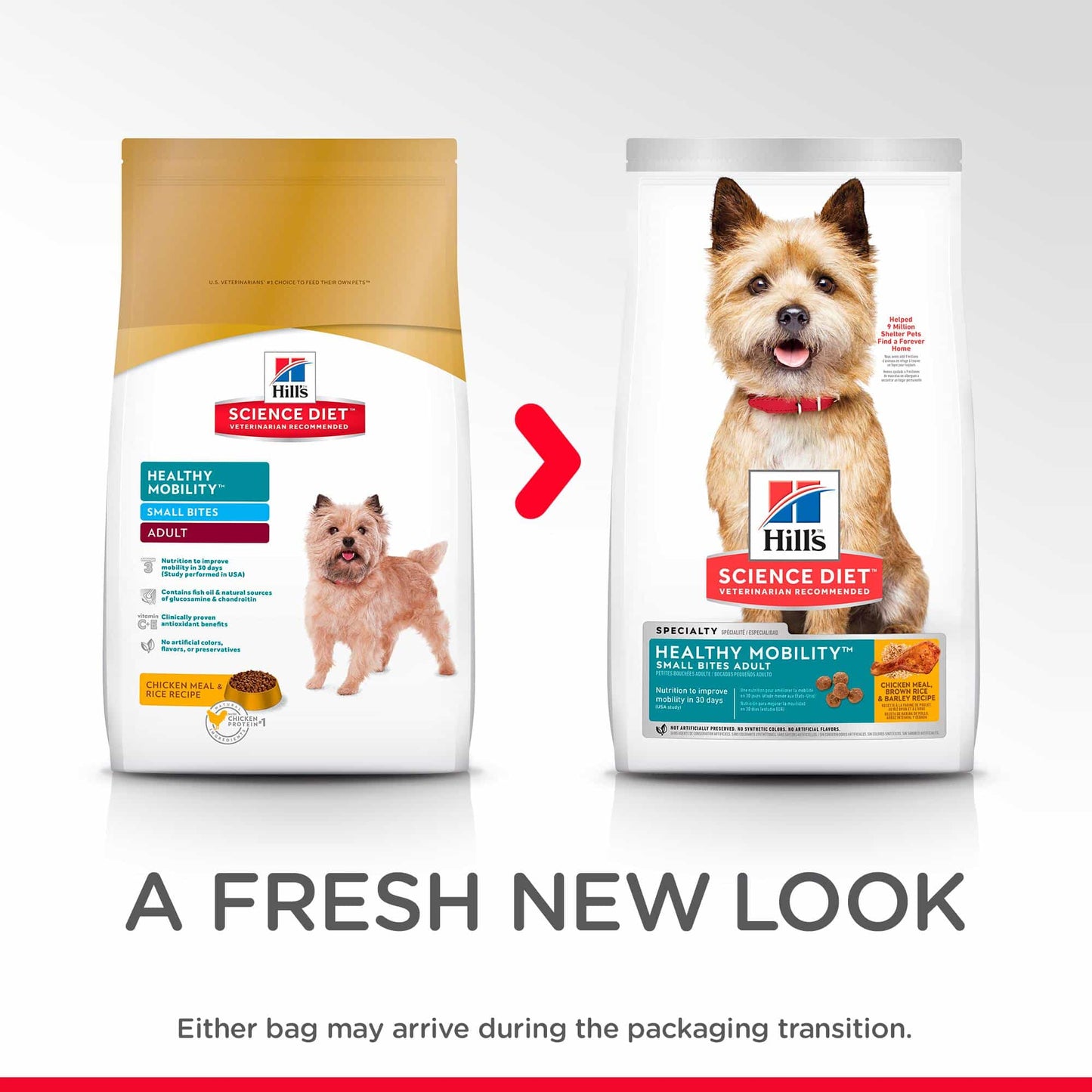 Hill's Science Diet Healthy Mobility Small Bites Adult Chicken Dry Dog Food (122718000084) [default_color]