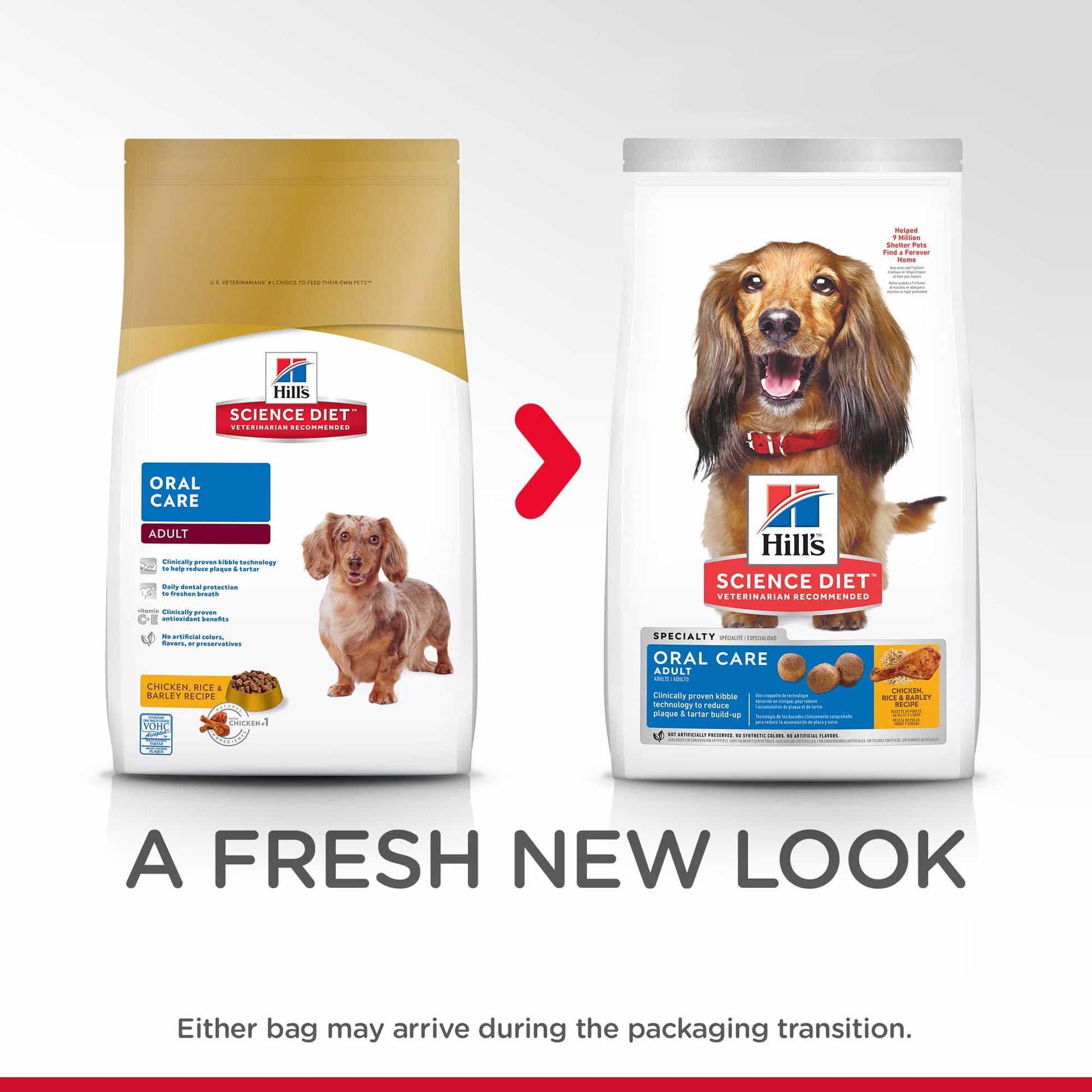 Hill's Science Diet Oral Care Adult Chicken Dry Dog Food (122718000092) [default_color]