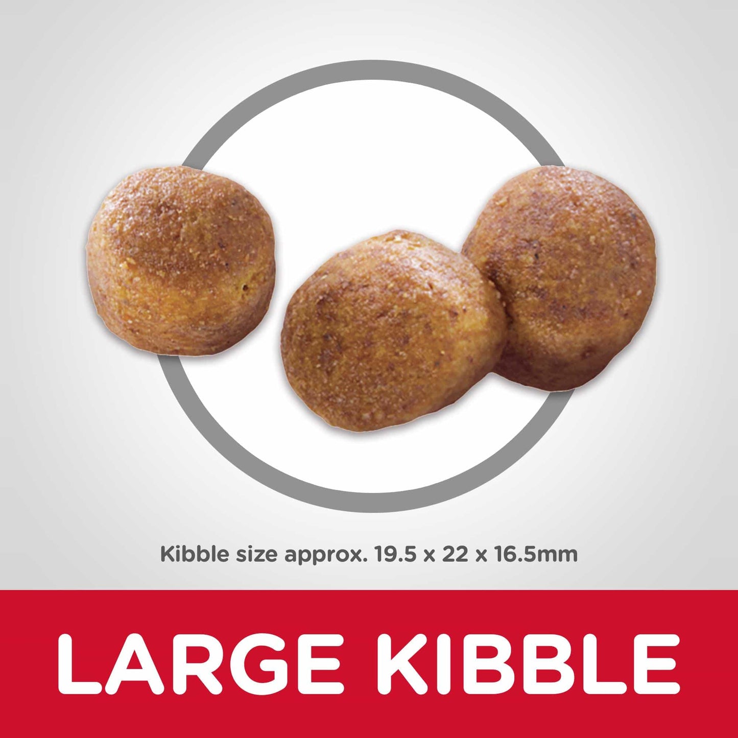 Hill's Science Diet Oral Care Adult Chicken Dry Dog Food (122718000092) [default_color]