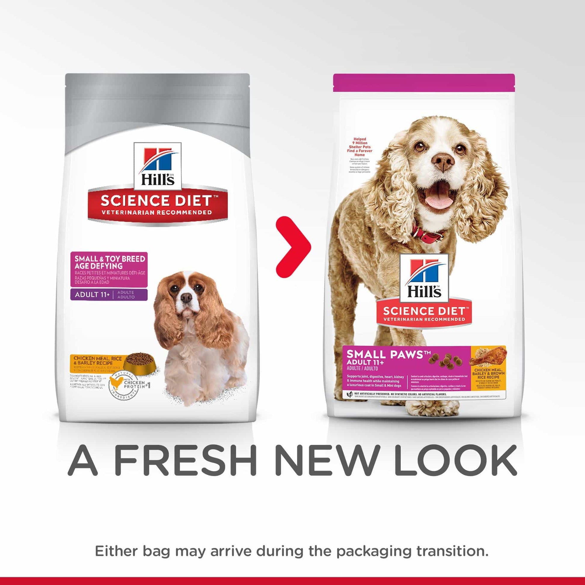 Hill's Science Diet Small Paws Senior Adult 11+ Dry Dog Food (122718000131) [default_color]