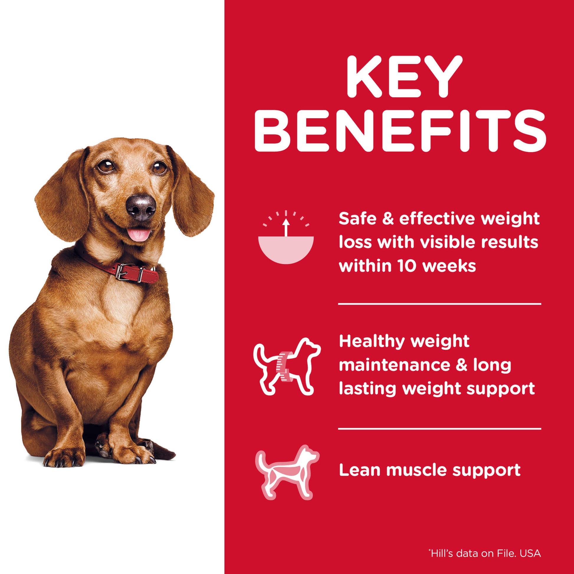 Hill's Science Diet Small & Mini Breed Perfect Weight Adult Chicken Dry Dog Food (122718000139) [default_color]