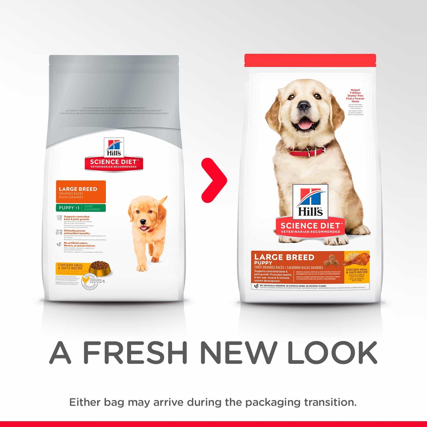 Hill's Science Diet Large Breed Puppy Chicken Dry Dog Food (122718000147) [default_color]