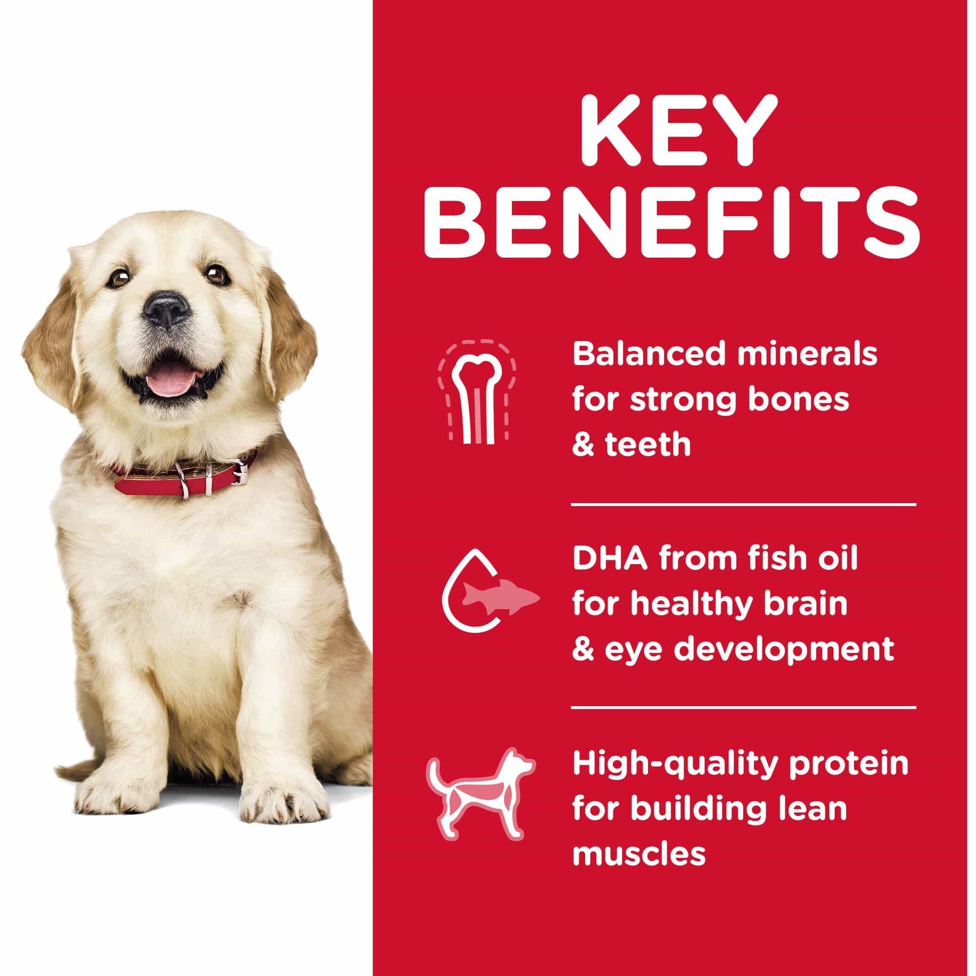 Hill's Science Diet Large Breed Puppy Chicken Dry Dog Food (122718000147) [default_color]