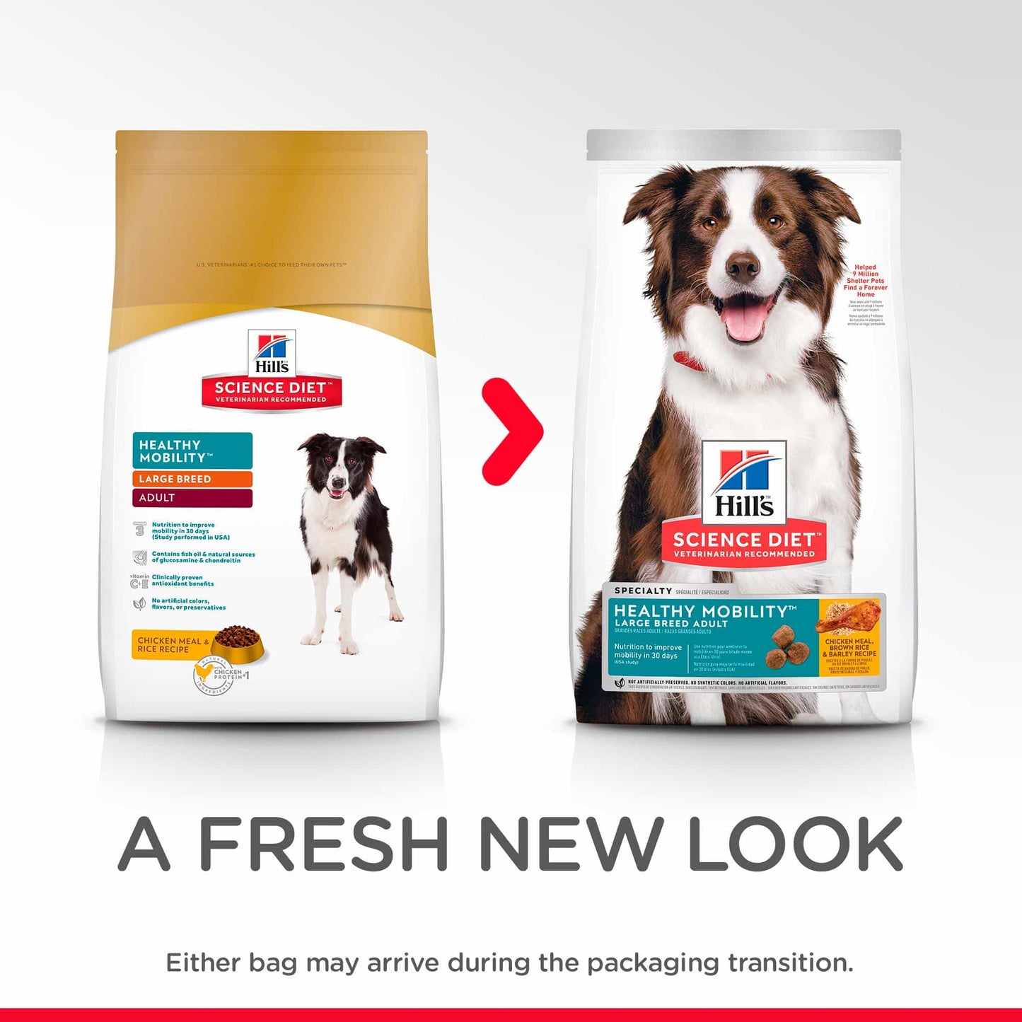 Hill's Science Diet Large Breed Healthy Mobility Adult Chicken Dry Dog Food (122718000150) [default_color]