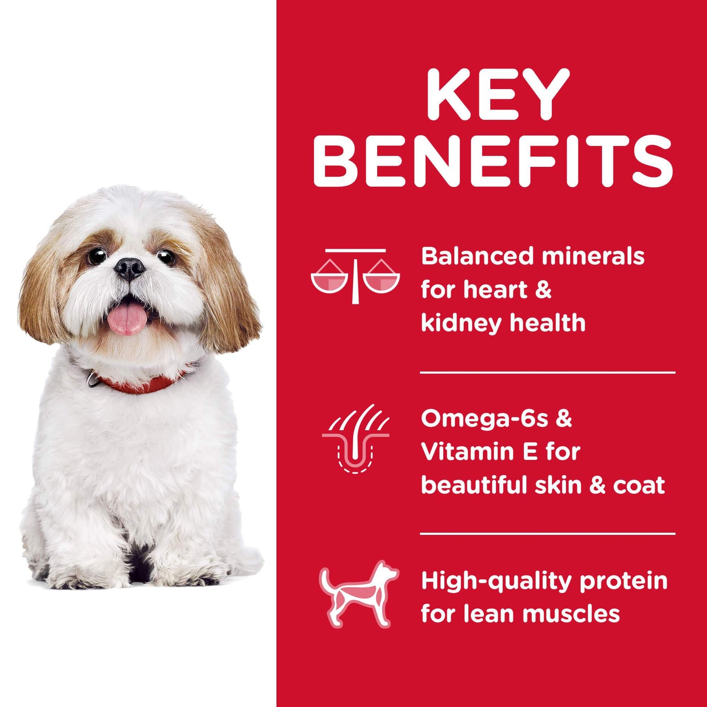 Hill's Science Diet Small Bites Senior Chicken Dry Dog Food