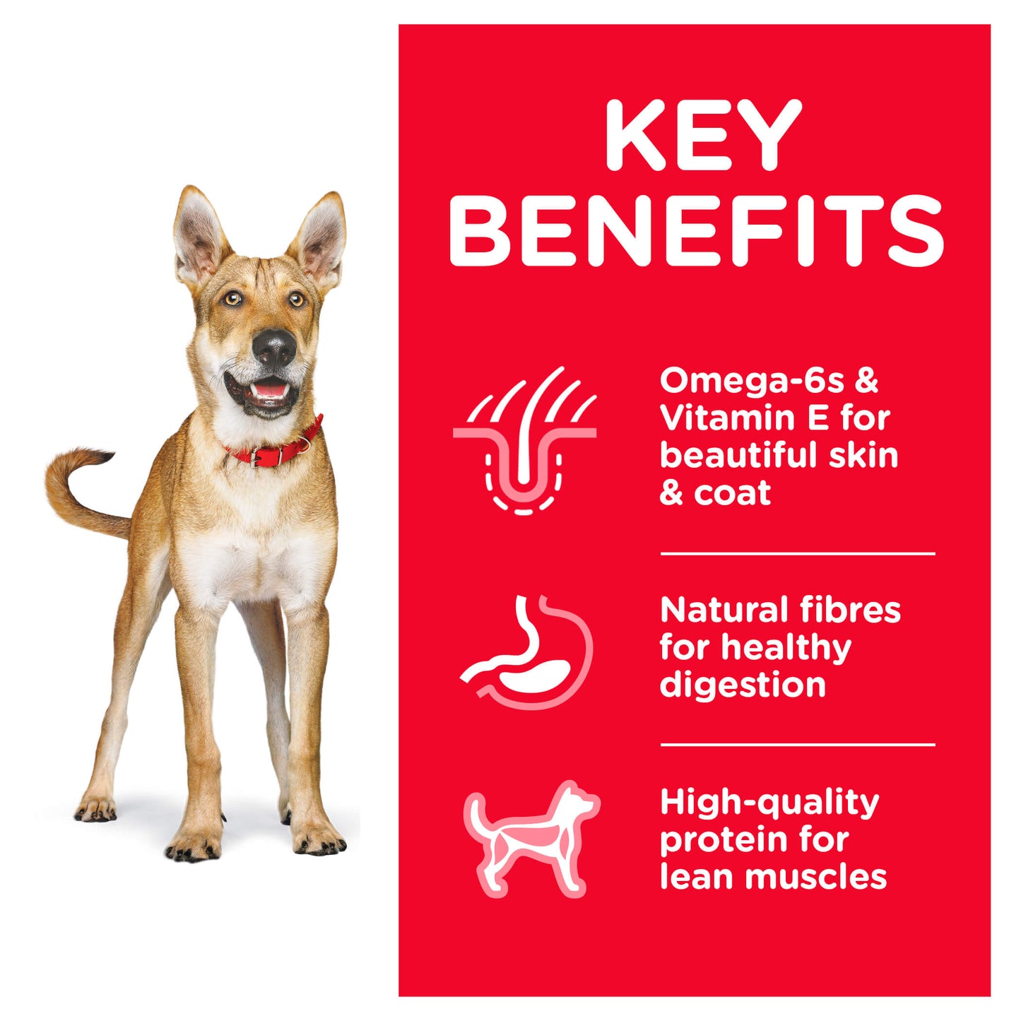 Hill's Science Diet Adult Chicken Dry Dog Food (122718000161) [default_color]