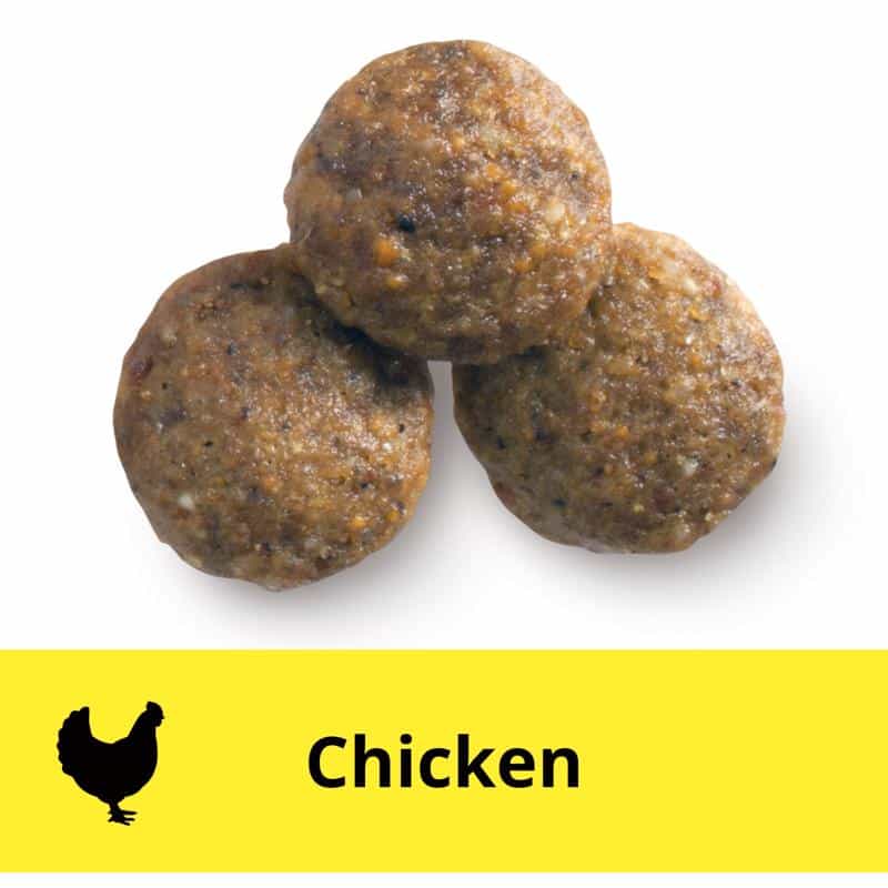 Wholesome Essentials  Puppy Chicken & Rice