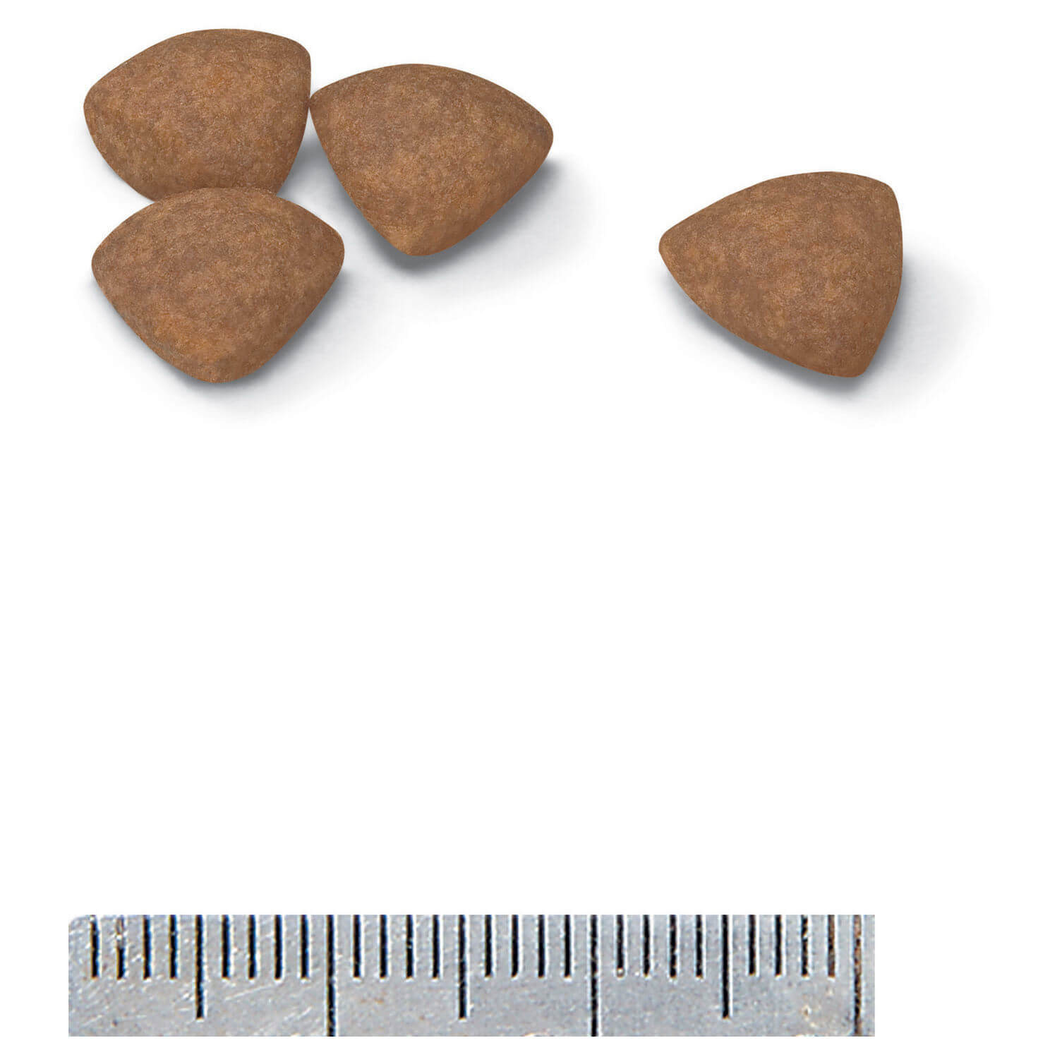 Royal Canin Mini Breed Puppy Dry Dog Food (122725000011) [default_color]