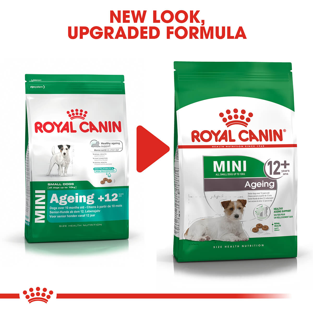 Royal Canin Mini Ageing 12+ Senior Dry Dog Food