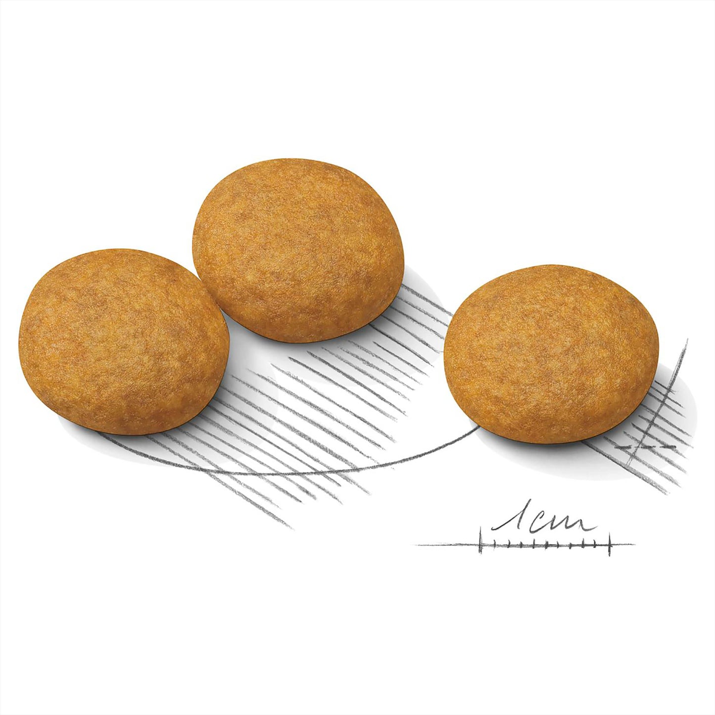 Royal Canin Dermacomfort Adult Dry Dog Food (122725000017) [default_color]