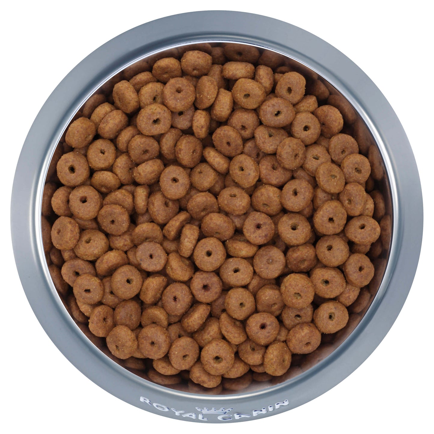 Royal Canin Maxi Ageing 8+ Senior Dry Dog Food