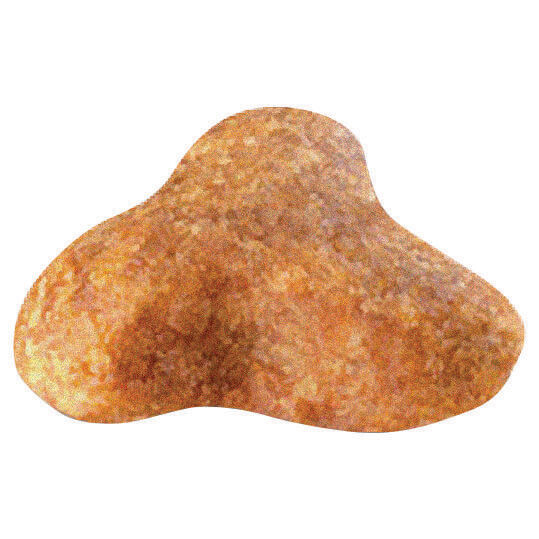 Royal Canin Pug Adult Dry Dog Food (122725000023) [default_color]