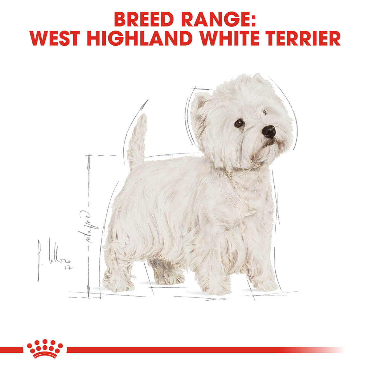 Royal Canin West Highland Terrier Adult Dry Dog Food